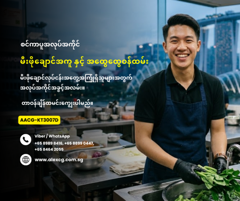 မီးဖိုချောင်အကူ နှင့် အထွေထွေဝန်ထမ်း