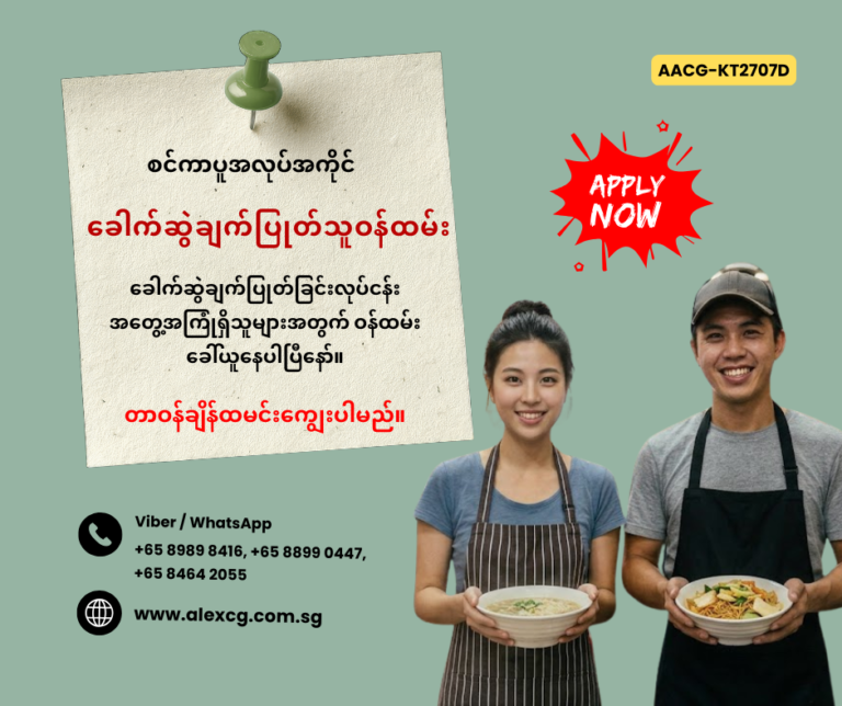 Noodle Cooker
