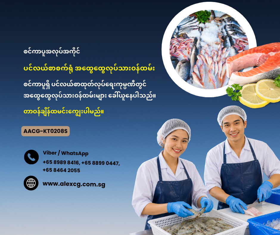 ပင်လယ်စာစက်ရုံ အထွေထွေလုပ်သားဝန်ထမ်း